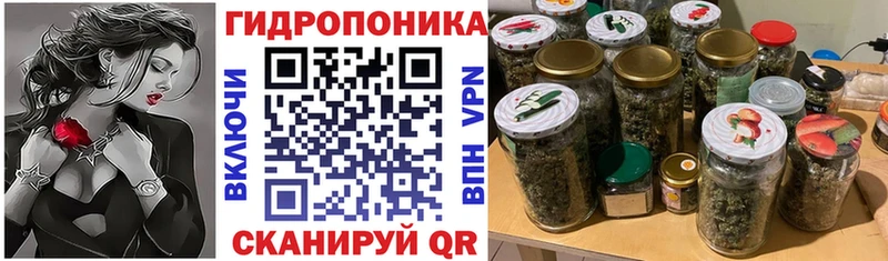 МЕГА как зайти  Чкаловск  МАРИХУАНА план 